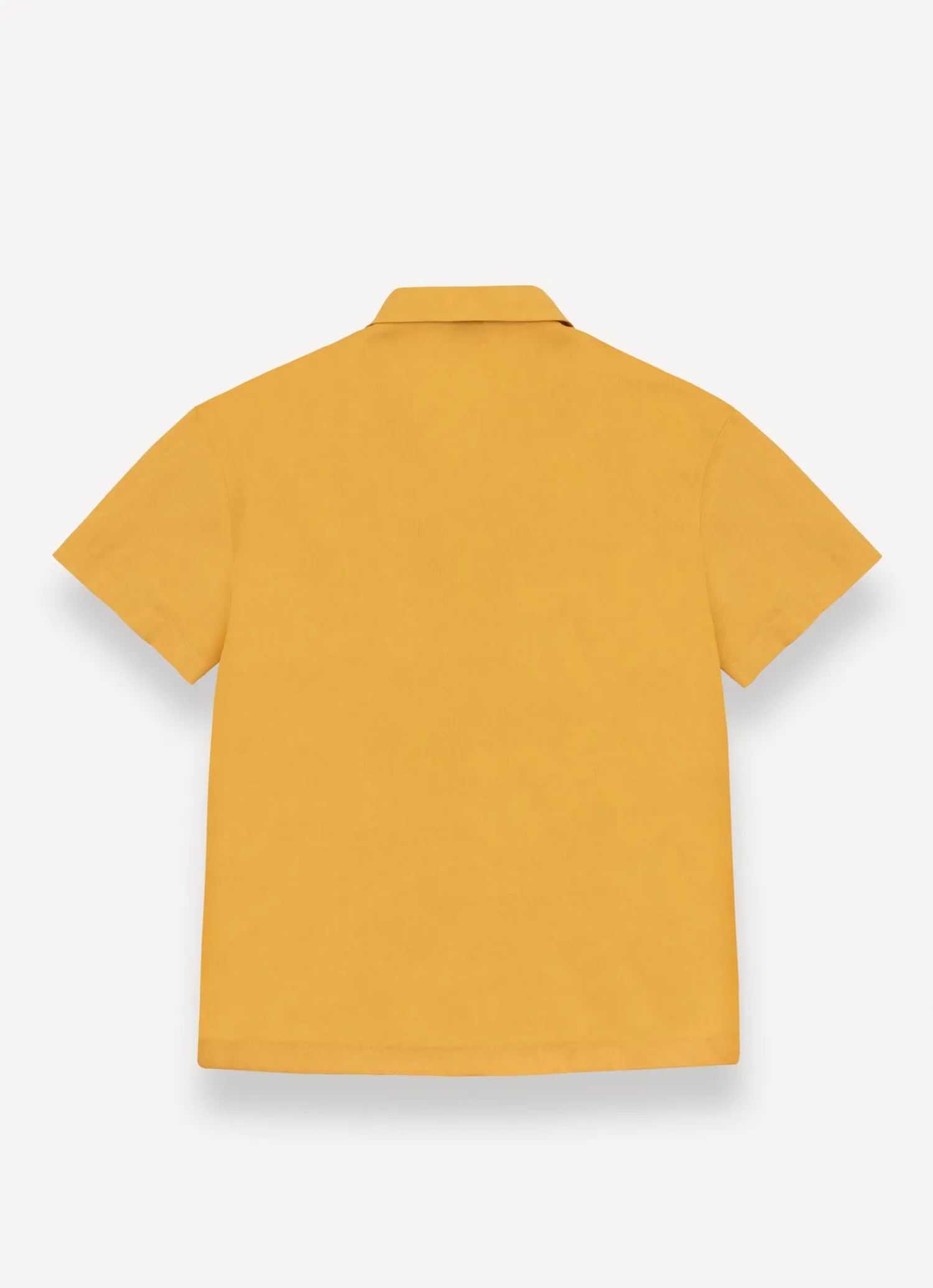 Sale Camicia in Misto Lino / Uomo Camicie