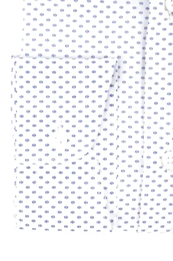 Outlet Camicia Regular Fit con Fantasia / Celeste Uomo Camicie