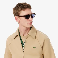 Discount Felpa con Zip e Righe in Mesh / Uomo Felpe