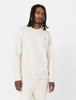 New Felpa Girocollo Oakport / Uomo Felpe