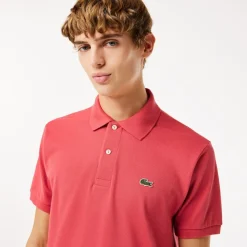 Polo 12.12 con Logo / Uomo Polo