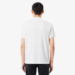 Polo in Pima Cotton / Uomo Polo