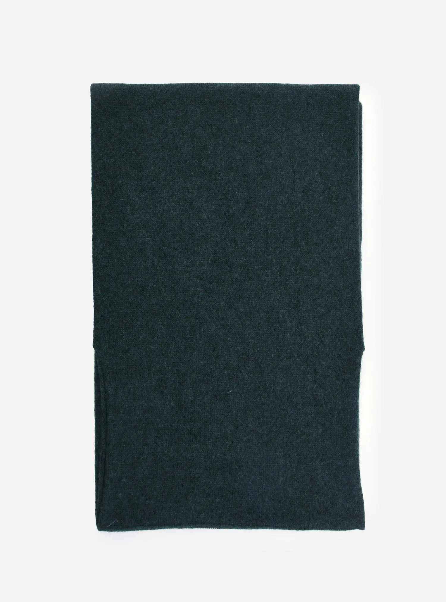 Discount Sciarpa Asola in Puro Cashmere / Uomo Sciarpe