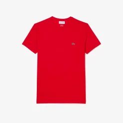 Hot T-Shirt a Girocollo in Jersey di Cotone Pima / Uomo T-shirt