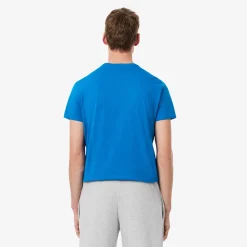 Clearance T-Shirt a Girocollo in Jersey di Cotone Pima / Uomo T-shirt