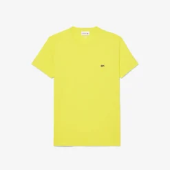 T-Shirt a Girocollo in Jersey di Cotone Pima / Uomo T-shirt
