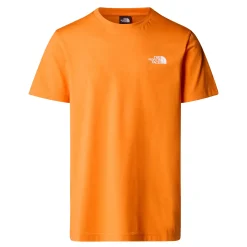 Clearance T-Shirt Simple Dome con Logo / Uomo T-shirt
