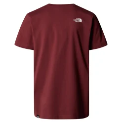 Discount T-Shirt Simple Dome con Logo / Uomo T-shirt