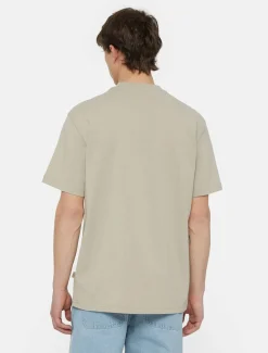 T-Shirt Summerdale a Maniche Corte / Uomo T-shirt